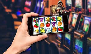 zeed66
